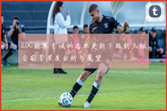EDG新赛季试训名单更新下路新人组合前景深度分析与展望